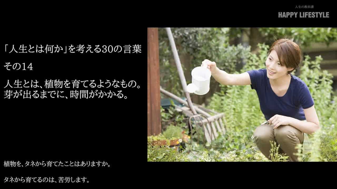 人生とは 植物を育てるようなもの 芽が出るまでに 時間がかかる 人生とは何か を考える30の言葉 Happy Lifestyle
