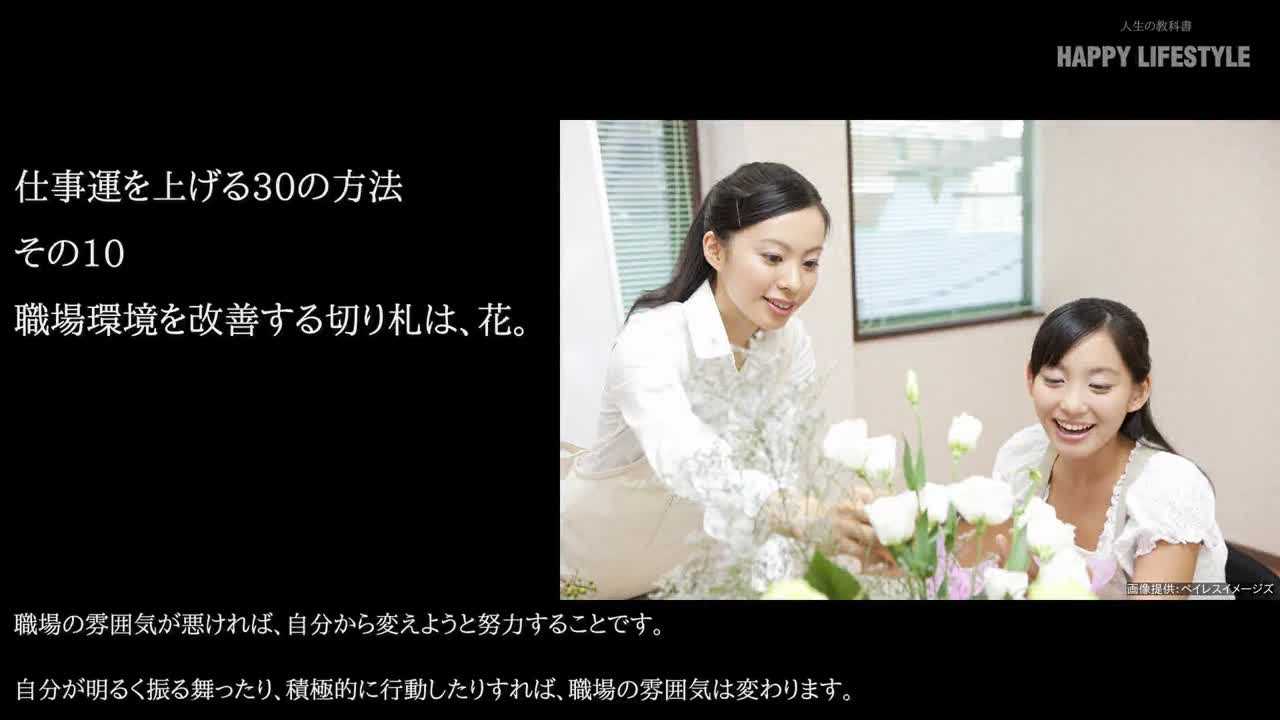 職場環境を改善する切り札は 花 仕事運を上げる30の方法 Happy Lifestyle