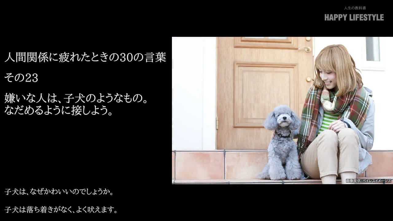 嫌いな人は 子犬のようなもの なだめるように接しよう 人間関係に疲れたときの30の言葉 Happy Lifestyle