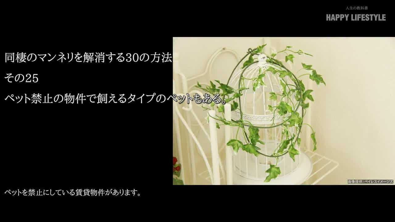 ペット禁止の物件で飼えるタイプのペットもある 同棲のマンネリを解消する30の方法 Happy Lifestyle