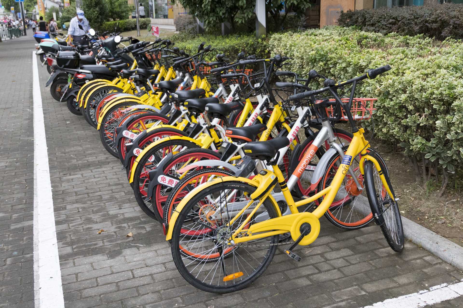 レンタルできるものは、徹底的にレンタルに頼る。 整理整頓で心まで豊かにする30の方法 HAPPY LIFESTYLE