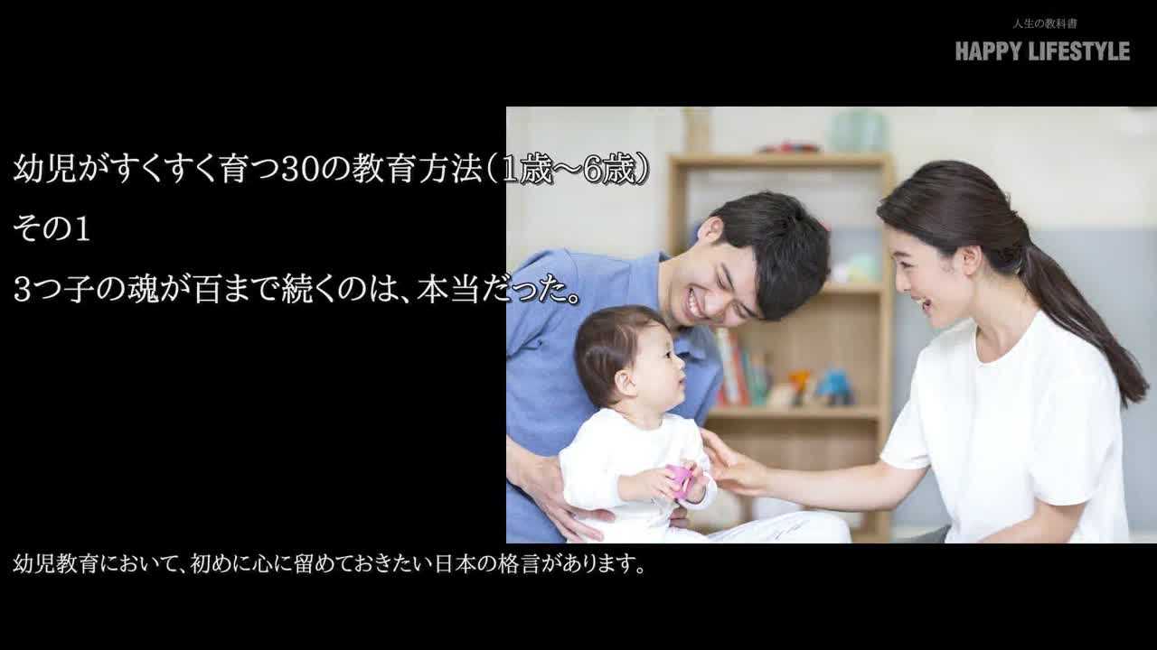 3つ子の魂が百まで続くのは 本当だった 幼児がすくすく育つ30の教育方法 1歳 6歳 Happy Lifestyle