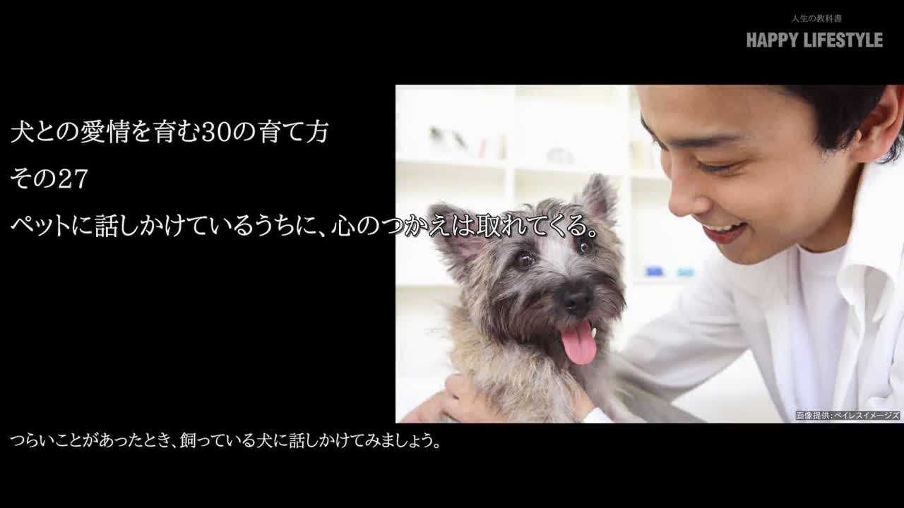 ペットに話しかけているうちに 心のつかえは取れてくる 犬との愛情を育む30の育て方 Happy Lifestyle