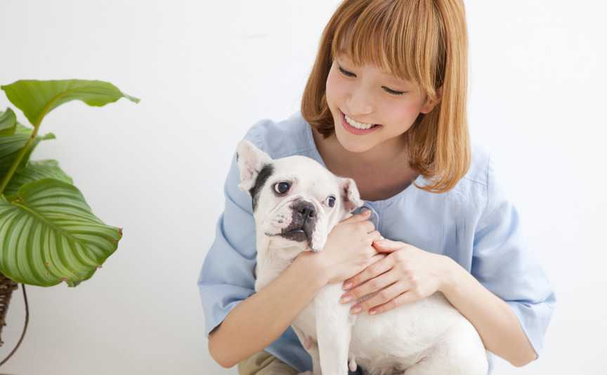 犬のコミュニケーションとなだめるジェスチャー