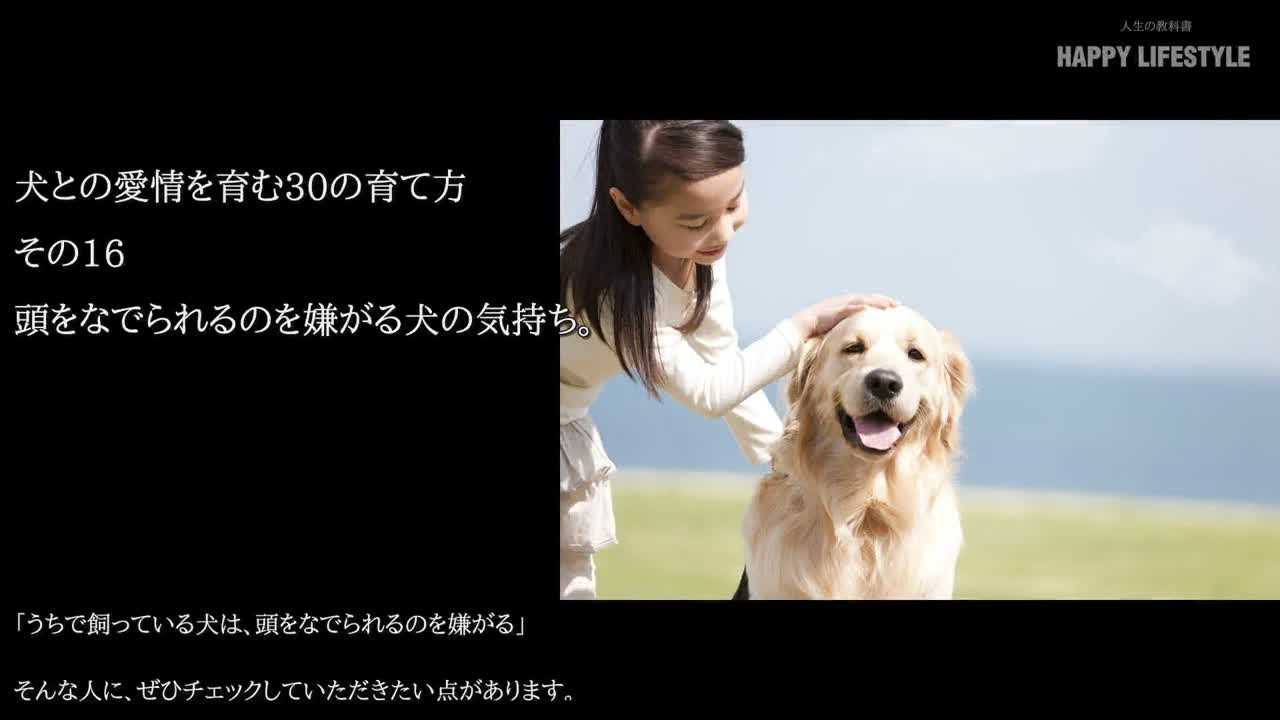 頭をなでられるのを嫌がる犬の気持ち 犬との愛情を育む30の育て方 Happy Lifestyle