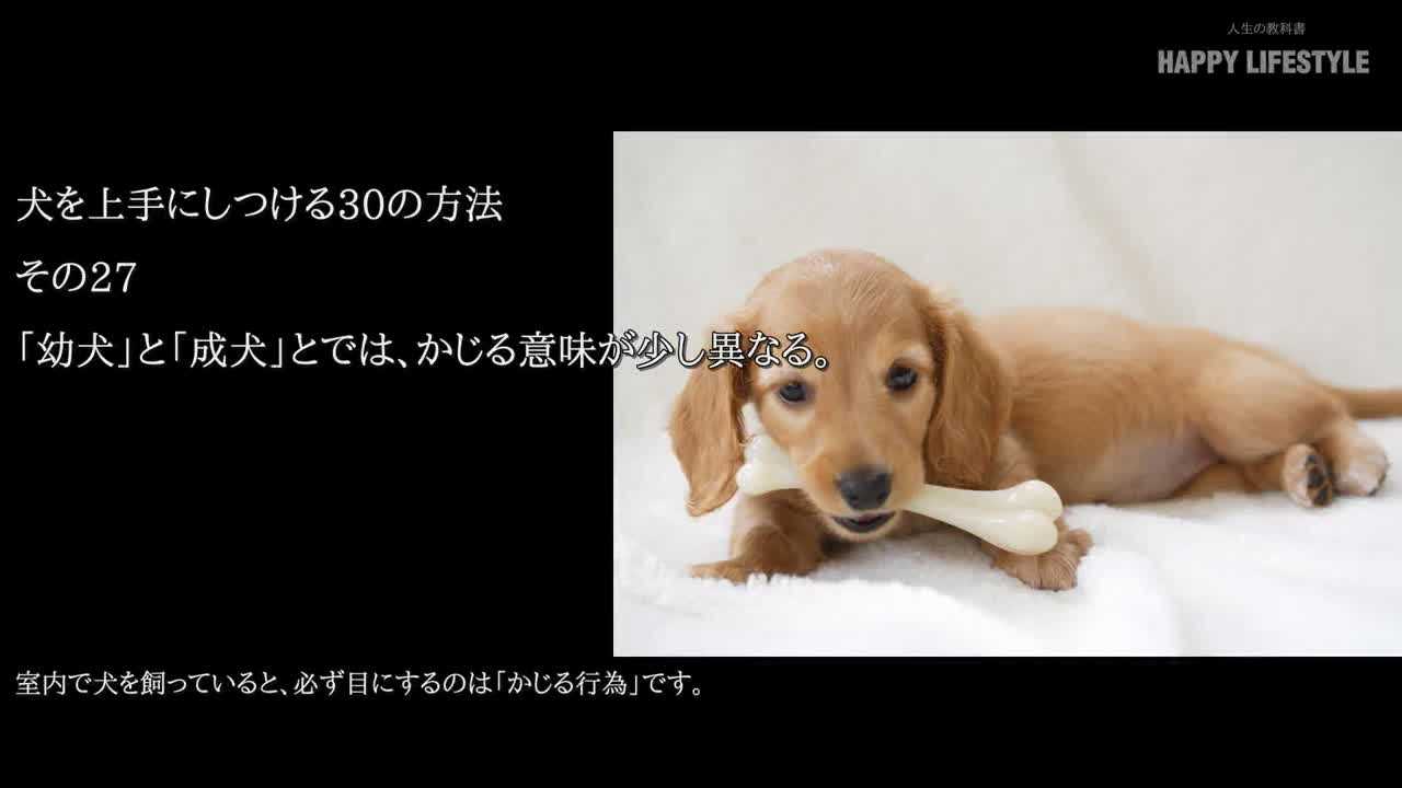 幼犬 と 成犬 とでは かじる意味が少し異なる 犬を上手にしつける30の方法 Happy Lifestyle