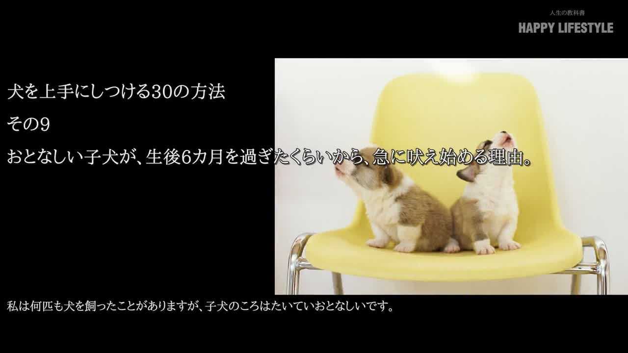 おとなしい子犬が 生後6カ月を過ぎたくらいから 急に吠え始める理由 犬を上手にしつける30の方法 Happy Lifestyle