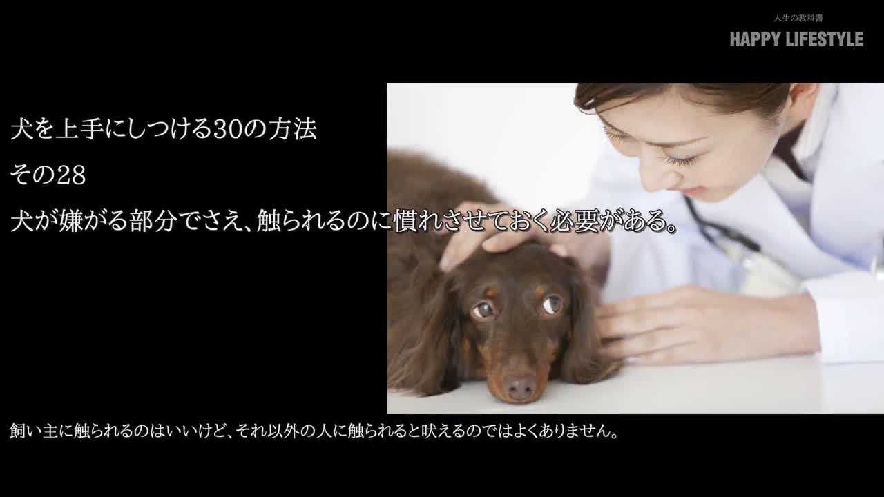 犬が嫌がる部分でさえ 触られるのに慣れさせておく必要がある 犬を上手にしつける30の方法 Happy Lifestyle