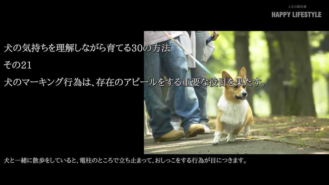 犬のマーキング行為は 存在のアピールをする重要な役目を果たす 犬の気持ちを理解しながら育てる30の方法 Happy Lifestyle