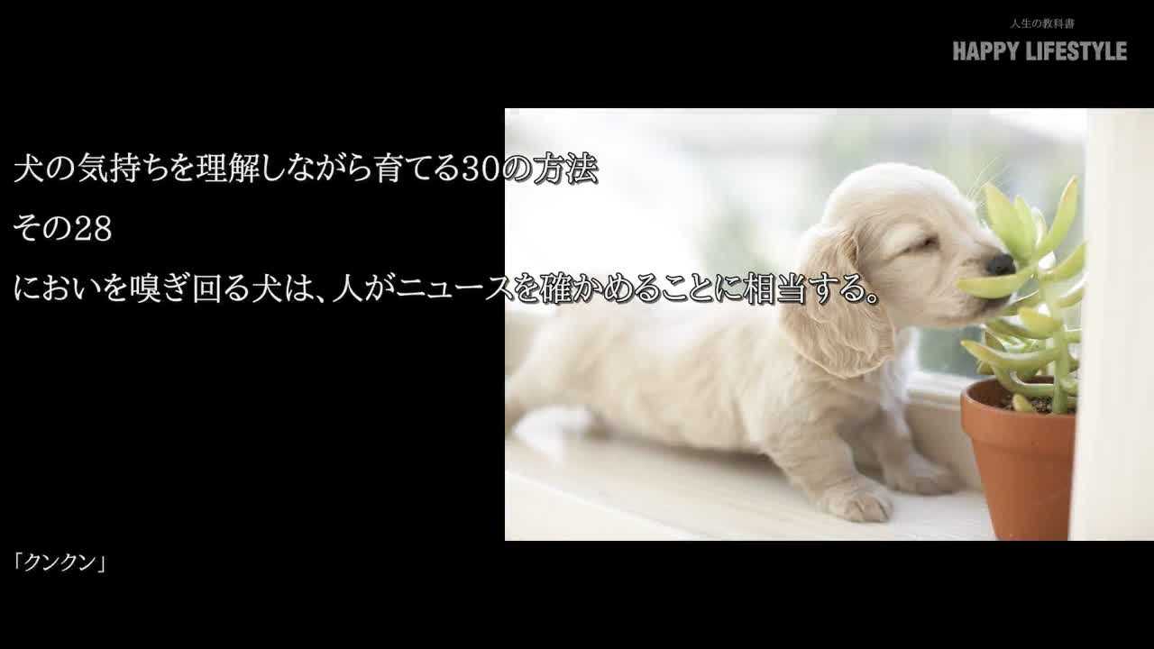 においを嗅ぎ回る犬は 人がニュースを確かめることに相当する 犬の気持ちを理解しながら育てる30の方法 Happy Lifestyle