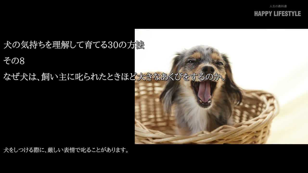 なぜ犬は 飼い主に叱られたときほど大きなあくびをするのか 犬の気持ちを理解しながら育てる30の方法 Happy Lifestyle