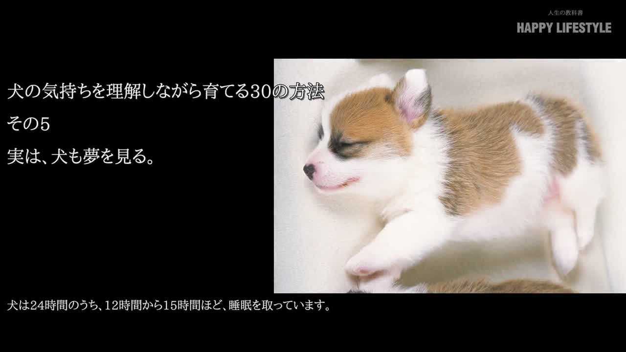 実は 犬も夢を見る 犬の気持ちを理解しながら育てる30の方法 Happy Lifestyle