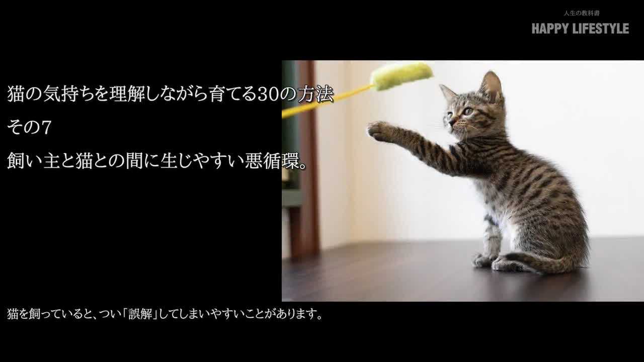 飼い主と猫との間に生じやすい悪循環 猫の気持ちを理解しながら育てる30の方法 Happy Lifestyle