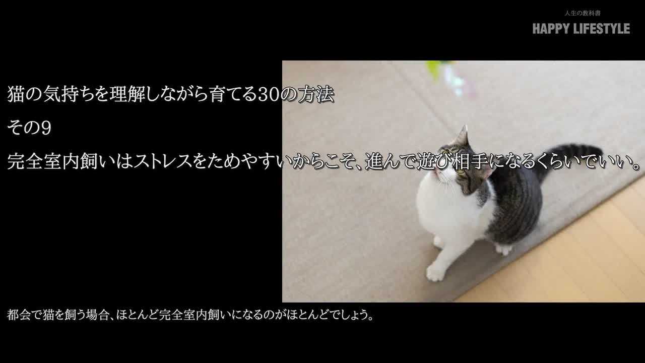 完全室内飼いはストレスをためやすいからこそ、進んで遊び相手になる 