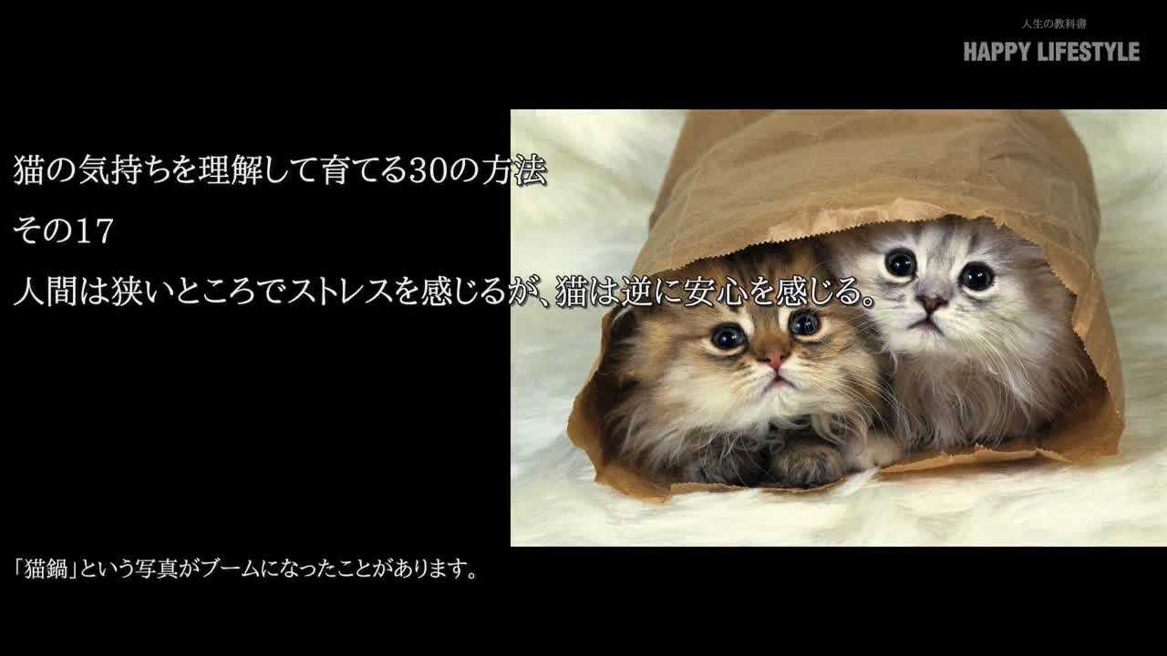 人間は狭いところでストレスを感じるが 猫は逆に安心を感じる 猫の気持ちを理解しながら育てる30の方法 Happy Lifestyle