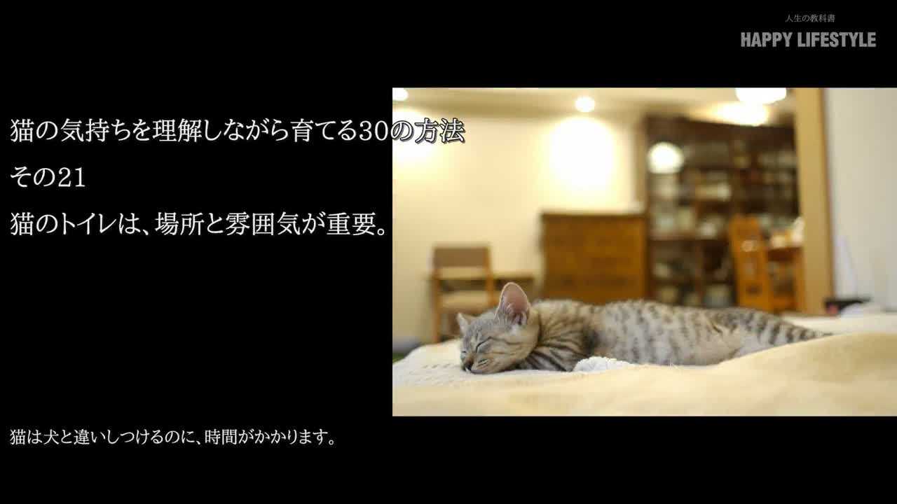 猫のトイレは 場所と雰囲気が重要 猫の気持ちを理解しながら育てる30の方法 Happy Lifestyle