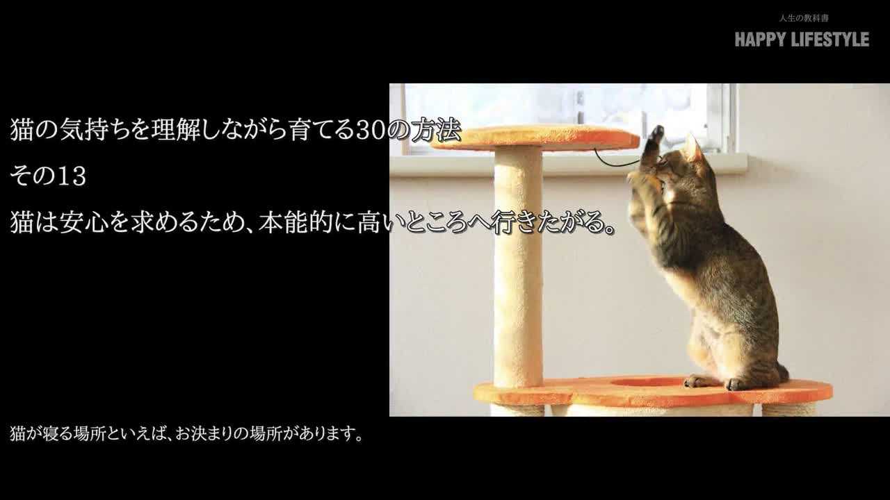 猫は安心を求めるため 本能的に高いところへ行きたがる 猫の気持ちを理解しながら育てる30の方法 Happy Lifestyle