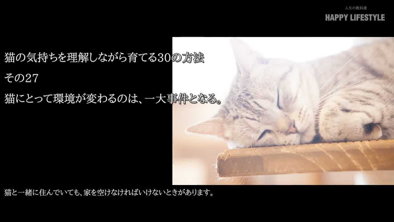 猫にとって環境が変わるのは 一大事件となる 猫の気持ちを理解しながら育てる30の方法 Happy Lifestyle