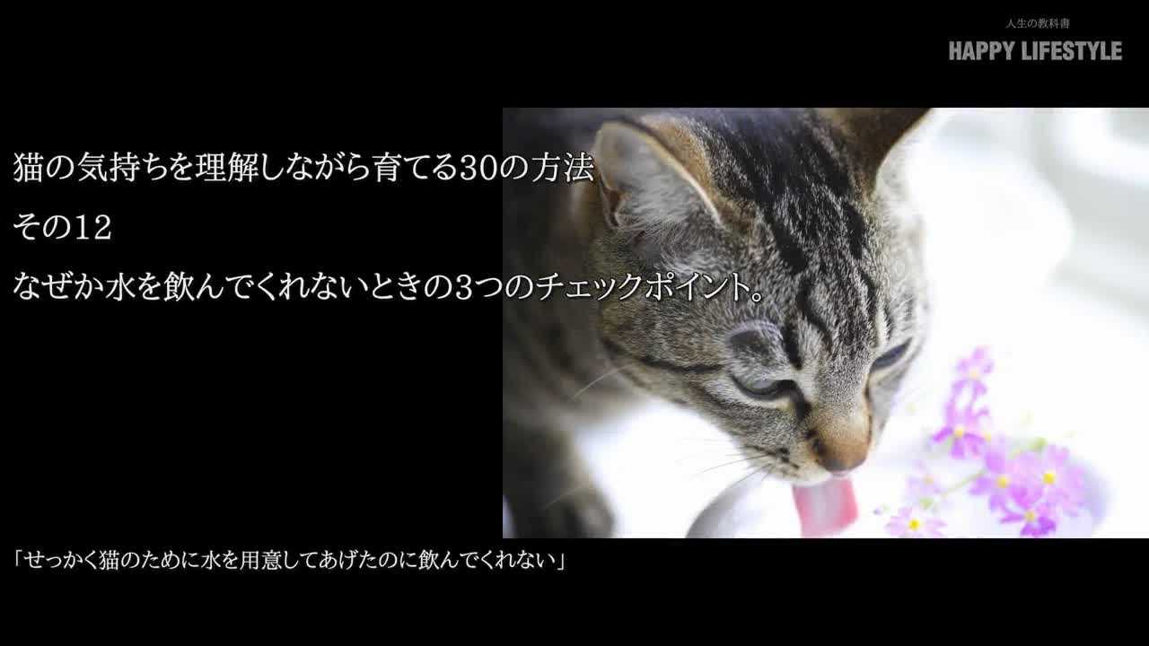 なぜか水を飲んでくれないときの3つのチェックポイント 猫の気持ちを理解しながら育てる30の方法 Happy Lifestyle