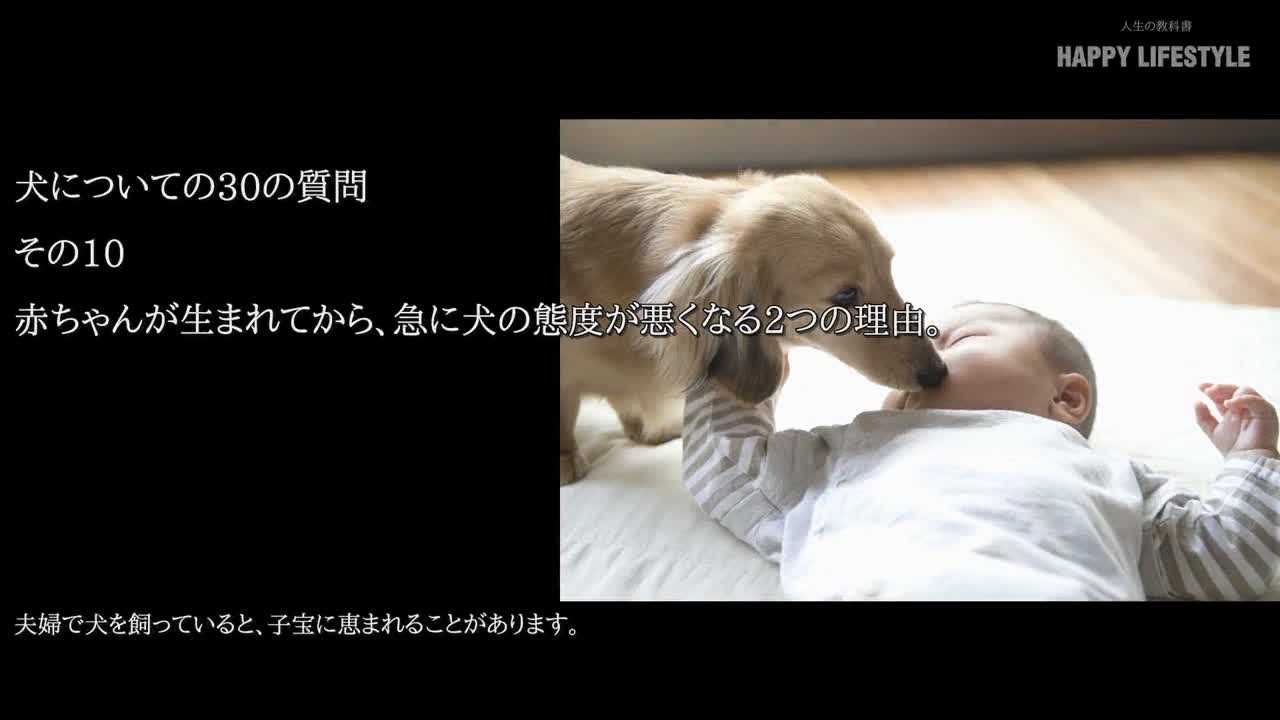 赤ちゃんが生まれてから 急に犬の態度が悪くなる2つの理由 犬についての30の質問 Happy Lifestyle