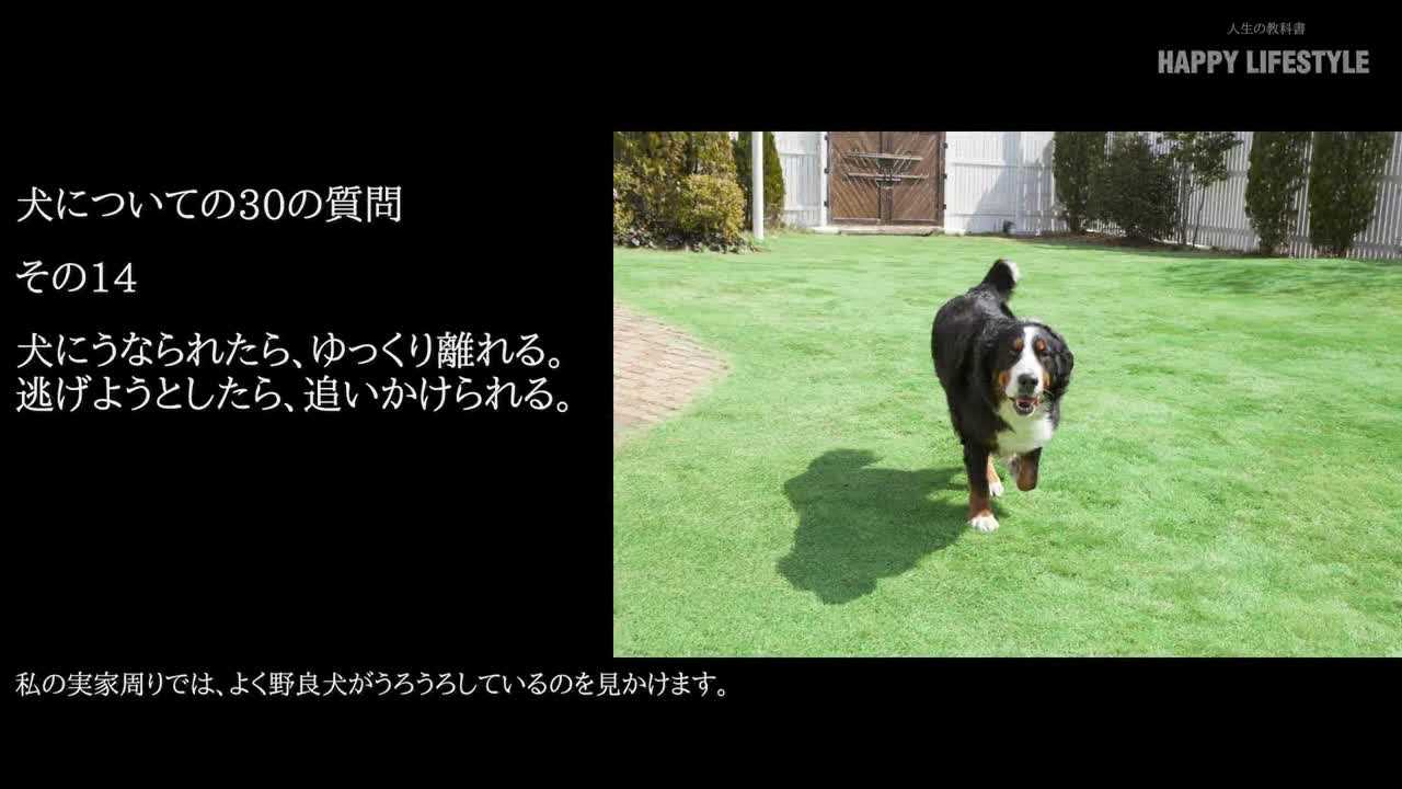 犬にうなられたら ゆっくり離れる 逃げようとしたら 追いかけられる 犬についての30の質問 Happy Lifestyle