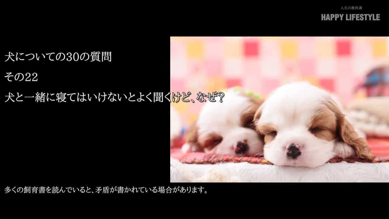 犬と一緒に寝てはいけないとよく聞くけど なぜ 犬についての30の質問 Happy Lifestyle