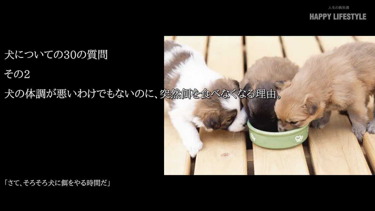 犬の体調が悪いわけでもないのに 突然餌を食べなくなる理由 犬についての30の質問 Happy Lifestyle