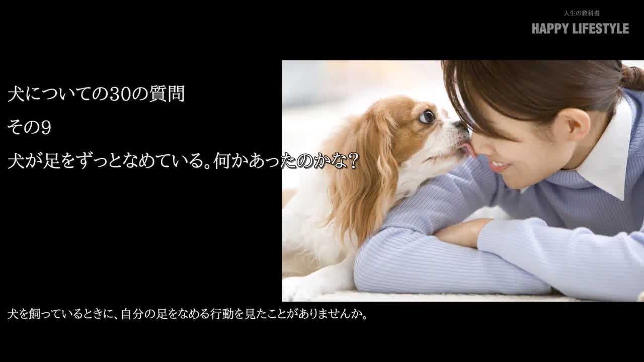 犬が足をずっとなめている 何かあったのかな 犬についての30の質問 Happy Lifestyle