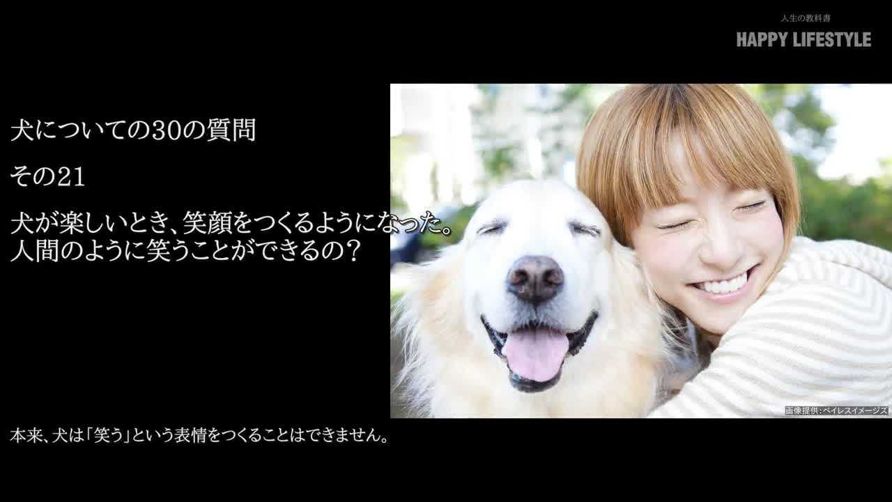 犬が楽しいとき 笑顔を作るようになった 人間のように笑うことができるの 犬についての30の質問 Happy Lifestyle