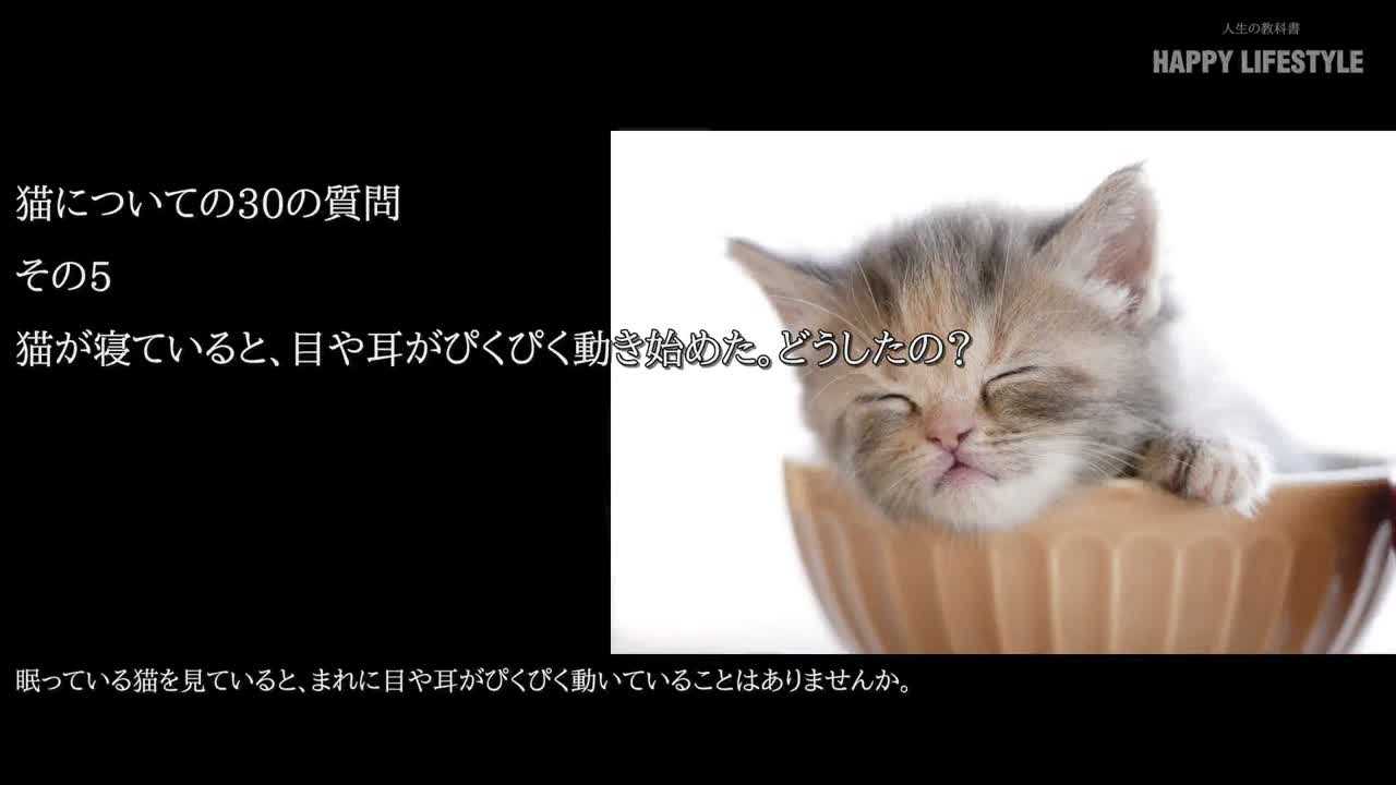 猫が寝ていると 目や耳がぴくぴく動き始めた どうしたの 猫についての30の質問 Happy Lifestyle