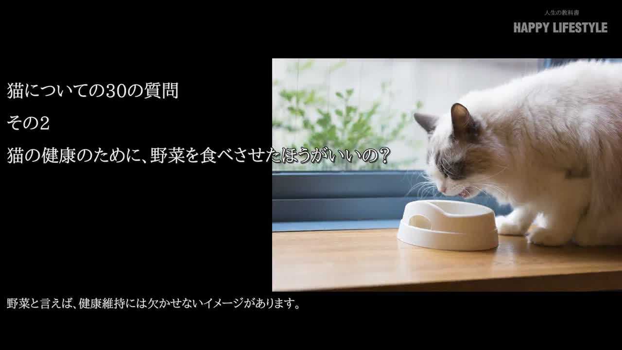 猫の健康のために 野菜を食べさせたほうがいいの 猫についての30の質問 Happy Lifestyle