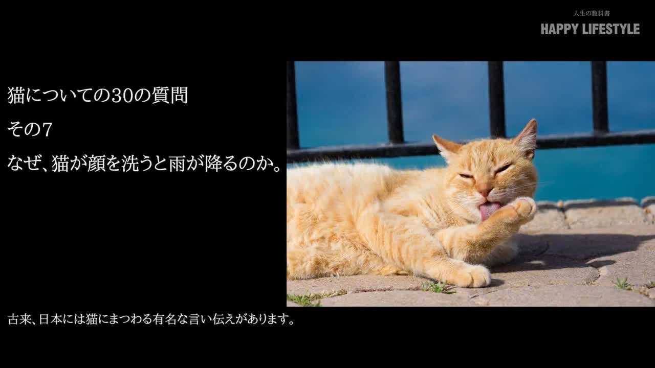 なぜ 猫が顔を洗うと雨が降るのか 猫についての30の質問 Happy Lifestyle