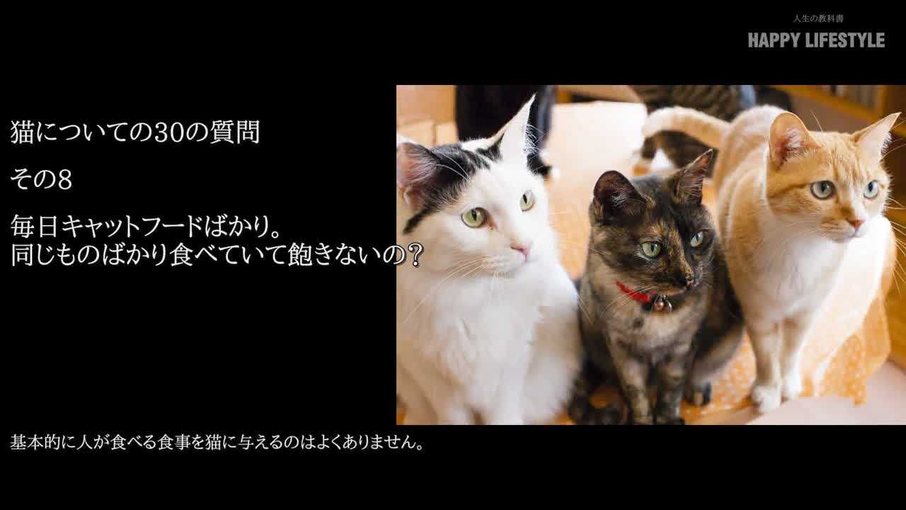 毎日キャットフードばかり。同じものばかり食べていて飽きないの - 猫 ゴキブ
リ 食べる