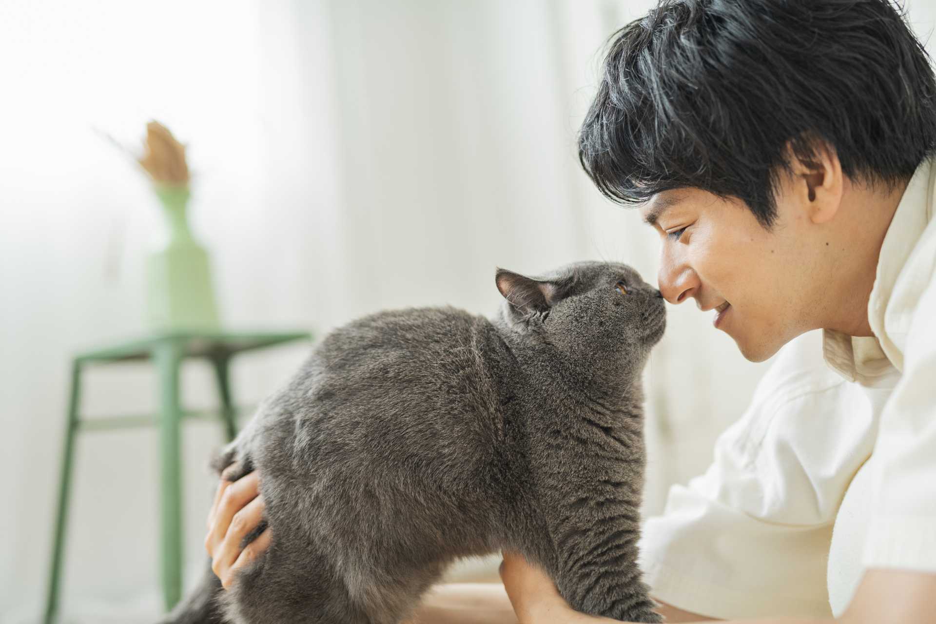 猫がときどき笑うのは、どういう意味があるの？  猫についての30の 