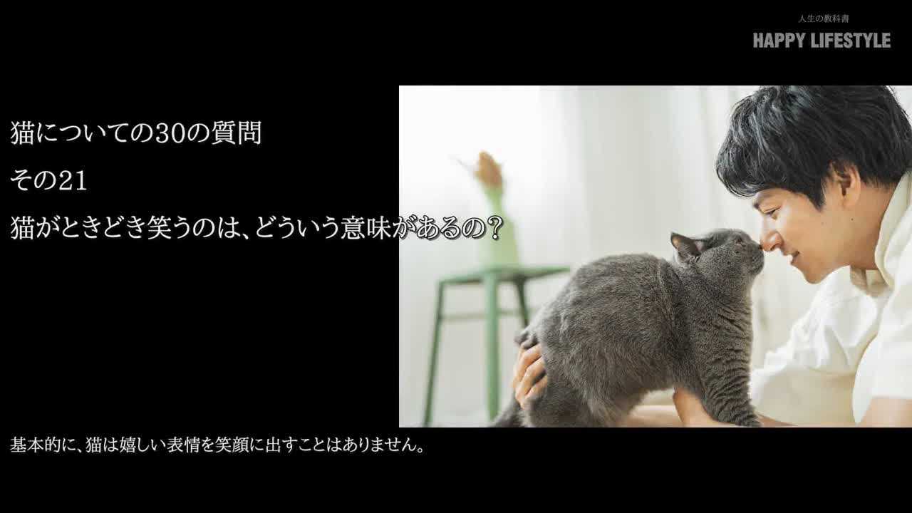 猫がときどき笑うのは どういう意味があるの 猫についての30の質問 Happy Lifestyle