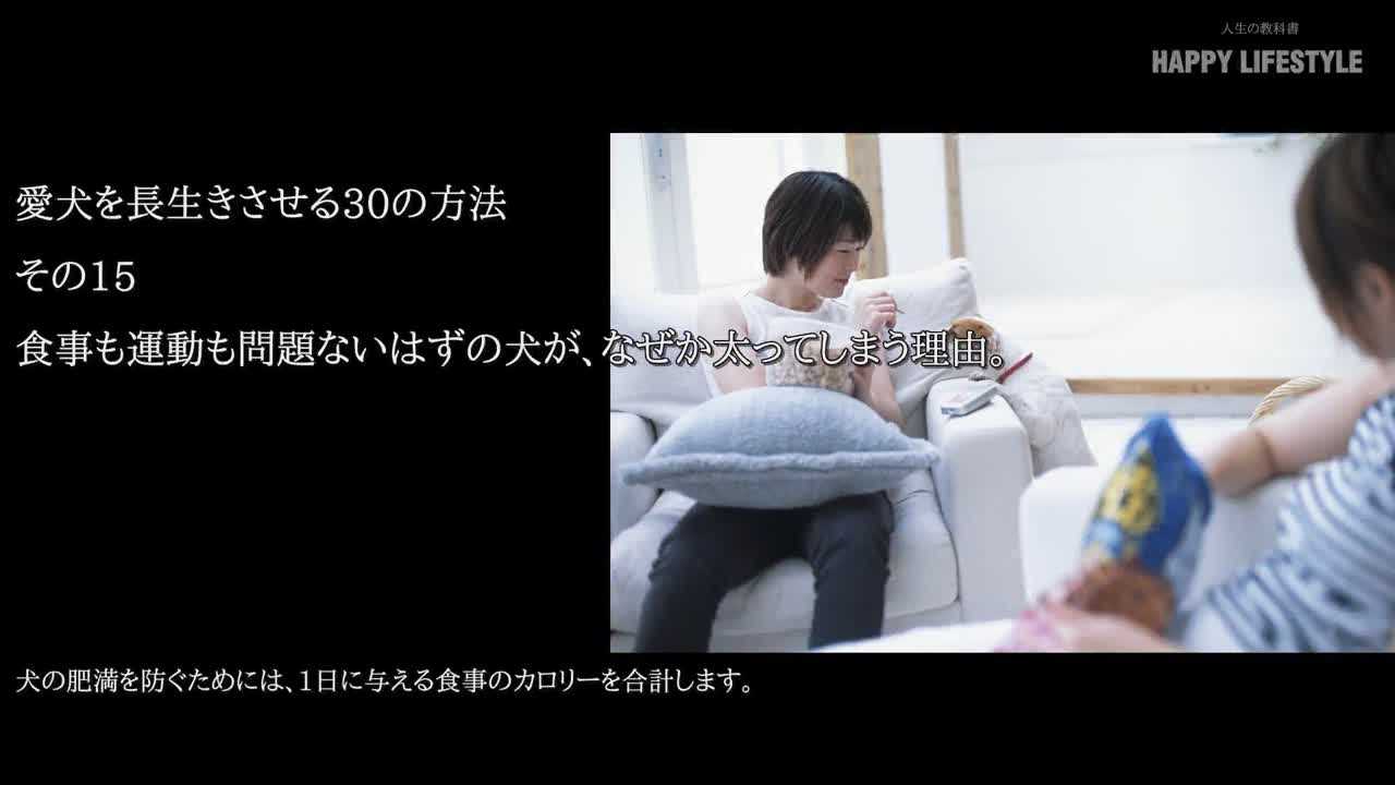 食事も運動も問題ないはずの犬が なぜか太ってしまう理由 愛犬を長生きさせる30の方法 Happy Lifestyle
