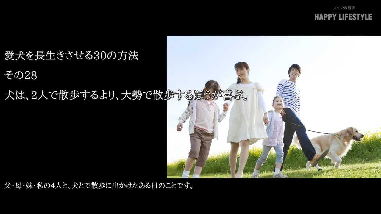 犬は 2人で散歩するより 大勢で散歩するほうが喜ぶ 愛犬を長生きさせる30の方法 Happy Lifestyle
