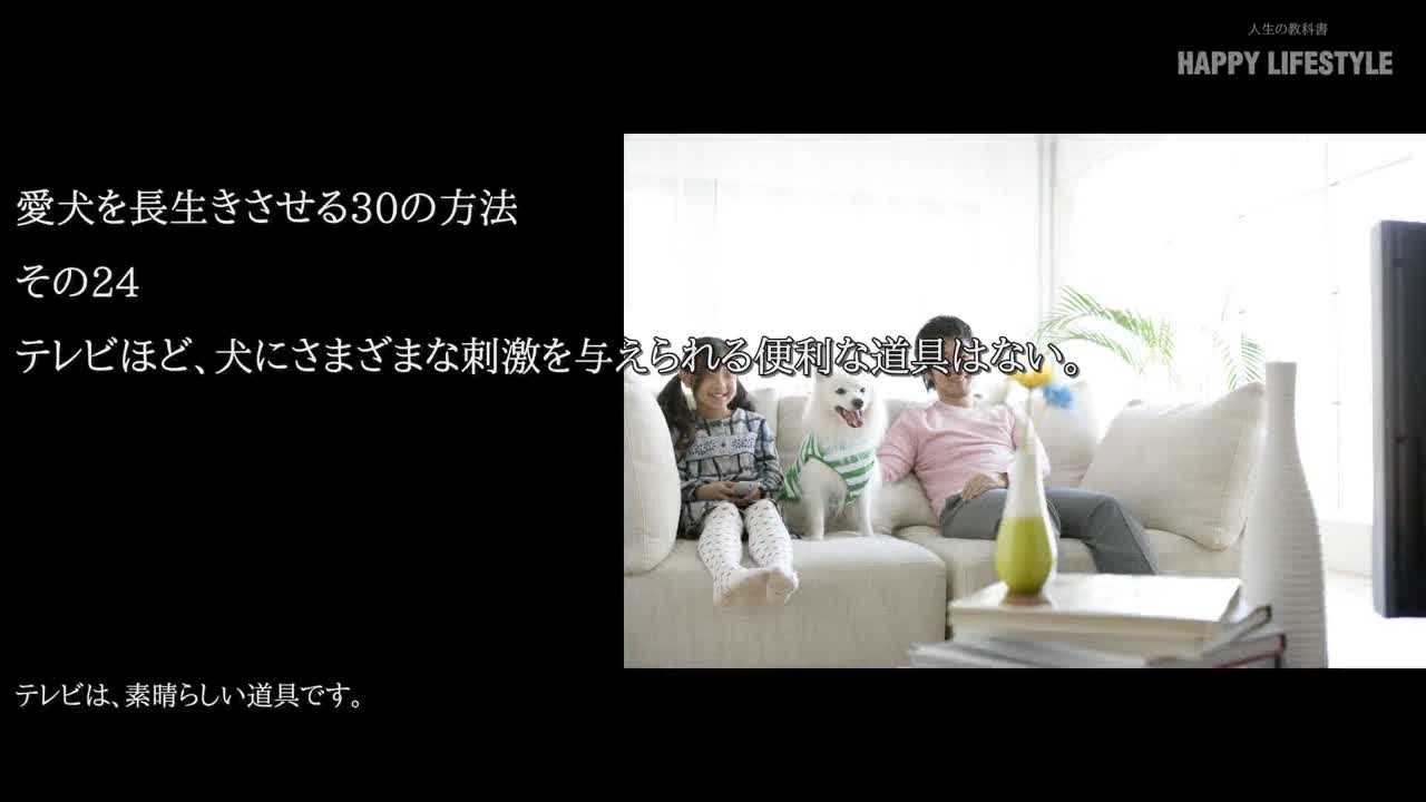 テレビほど 犬にさまざまな刺激を与えられる便利な道具はない 愛犬を長生きさせる30の方法 Happy Lifestyle