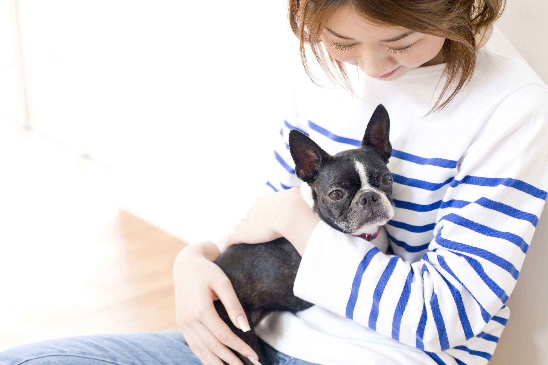 犬の不安定になった心は お漏らしとして表れやすい 愛犬を長生きさせる30の方法 Happy Lifestyle