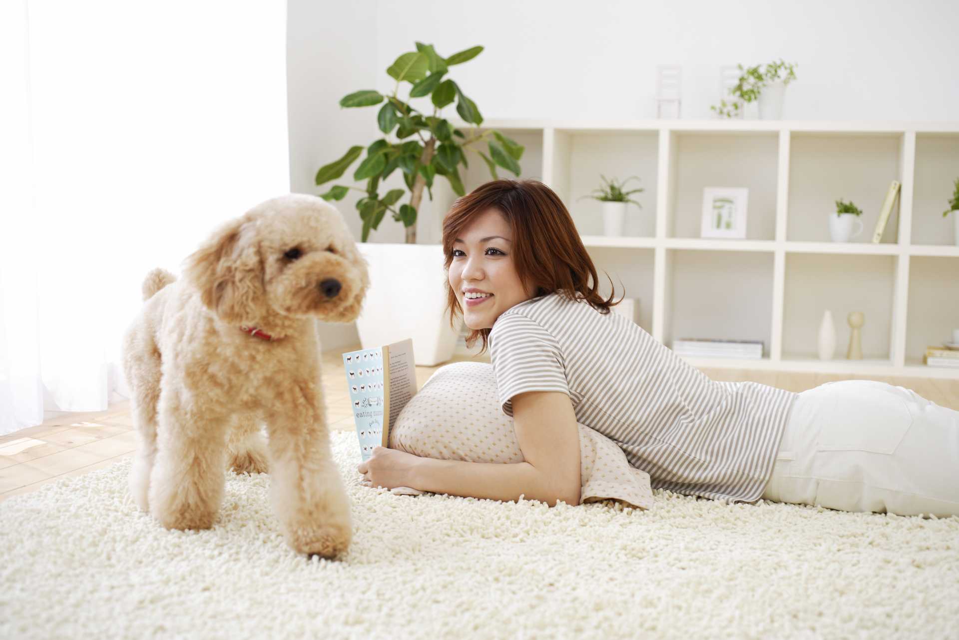 以前はどこへ行くにもべったりだったのに 急にべったりしなくなった 飼い主に興味がなくなったの 犬の気持ちが分かる30のしぐさ Happy Lifestyle