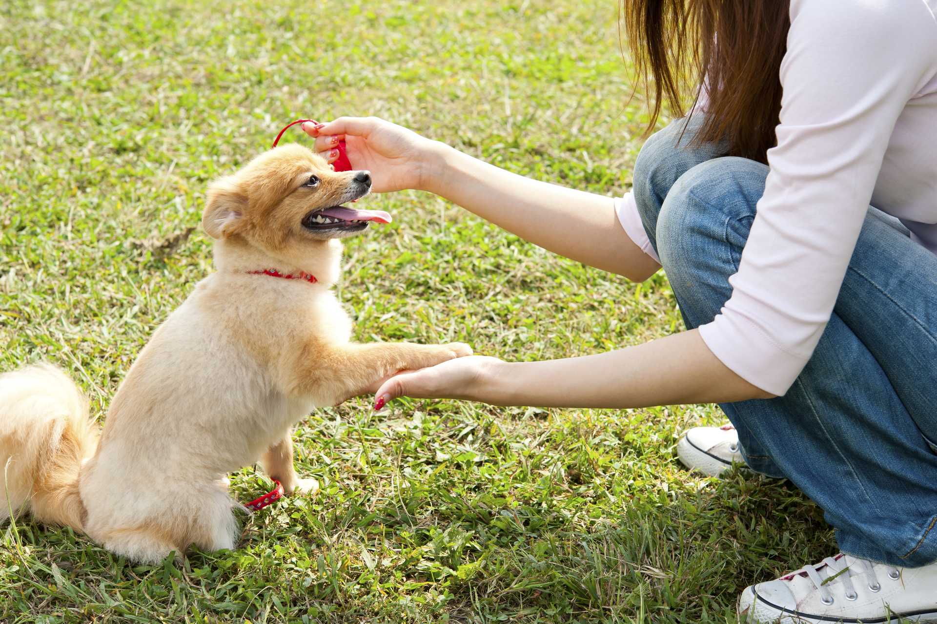 従業員が命令に従わないのはどのような場合ですか?