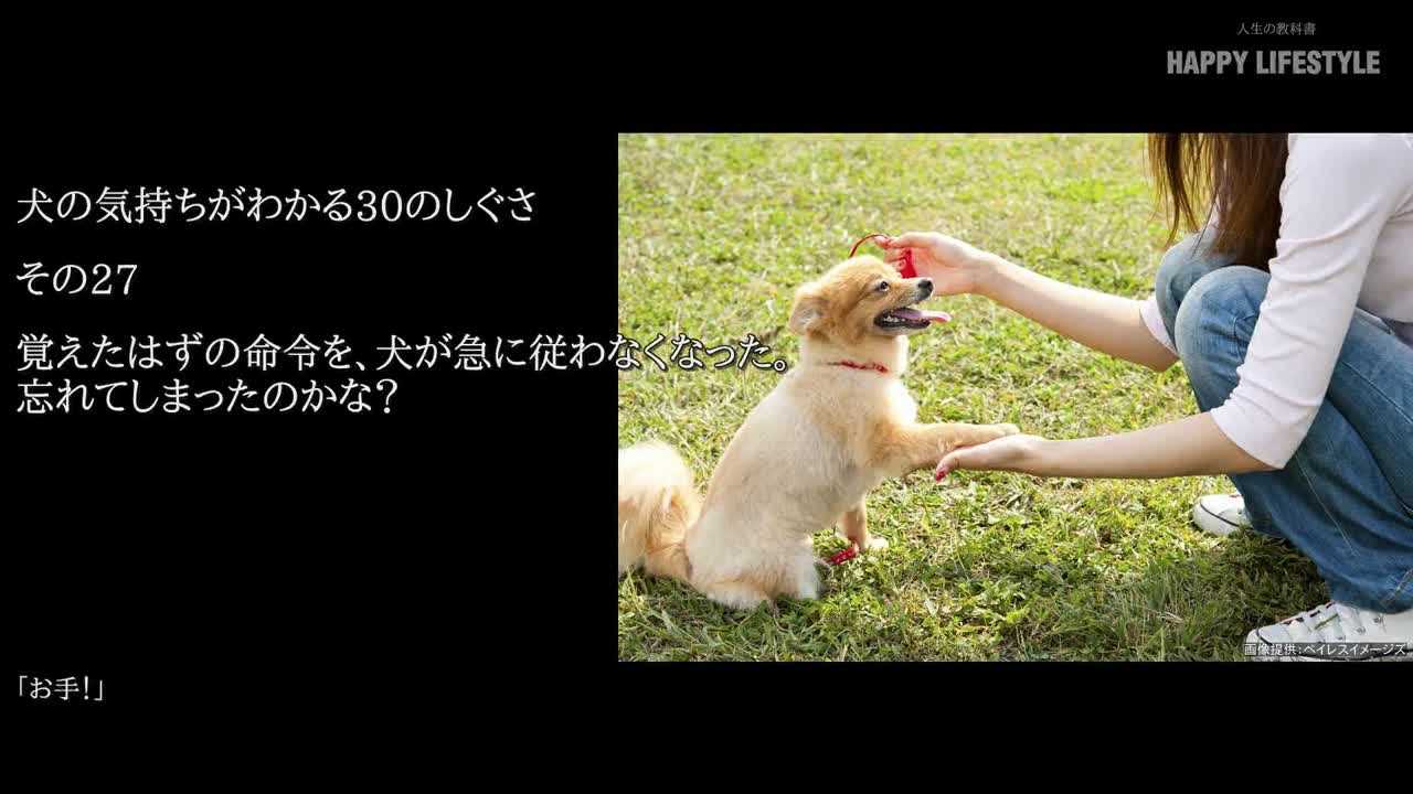 覚えたはずの命令を 犬が急に従わなくなった 忘れてしまったのかな 犬の気持ちが分かる30のしぐさ Happy Lifestyle