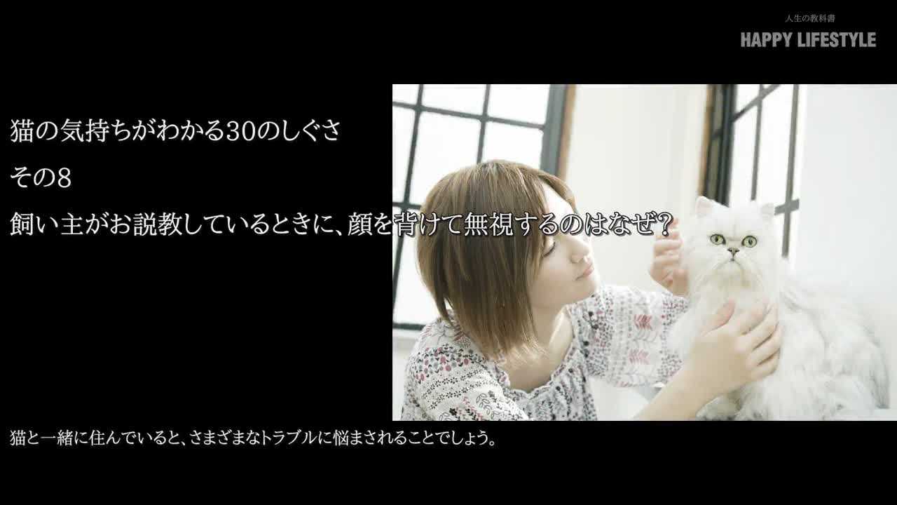 飼い主がお説教しているときに 顔を背けて無視するのはなぜ 猫の気持ちが分かる30のしぐさ Happy Lifestyle