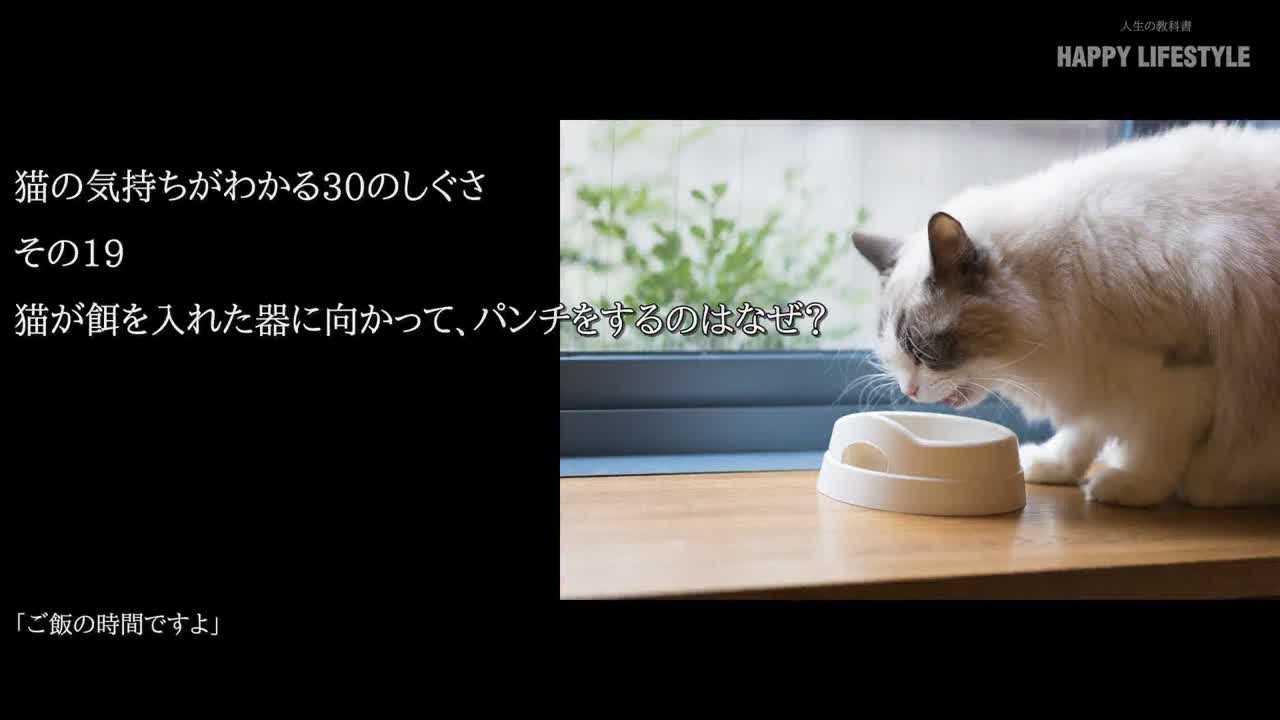 猫が餌を入れた器に向かって、パンチをするのはなぜ？  猫の気持ちが 