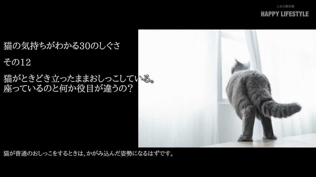 猫がときどき立ったままおしっこしている 座っているのと何か役目が違うの 猫の気持ちが分かる30のしぐさ Happy Lifestyle