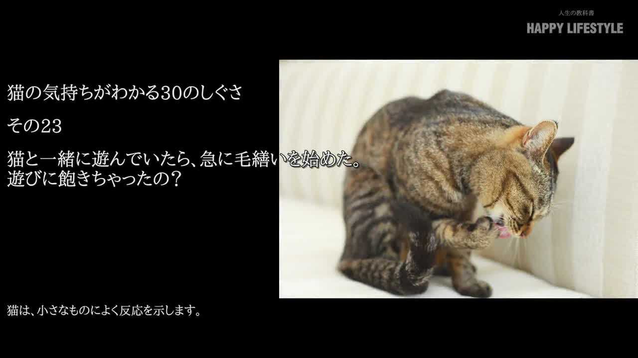 猫と一緒に遊んでいたら 急に毛繕いを始めた 遊びに飽きちゃったの 猫の気持ちが分かる30のしぐさ Happy Lifestyle