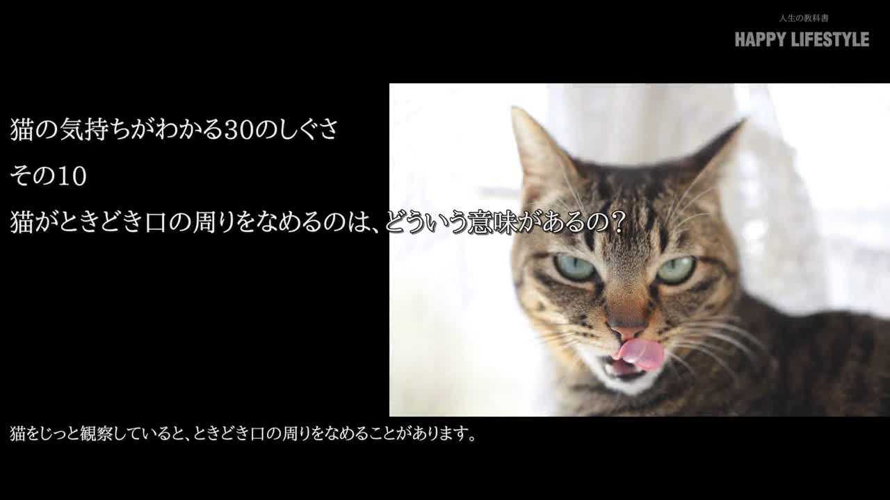 猫がときどき口の周りをなめるのは どういう意味があるの 猫の気持ちが分かる30のしぐさ Happy Lifestyle