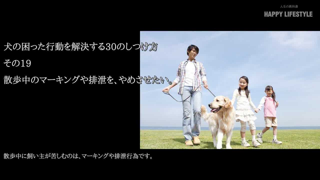 散歩中のマーキングや排泄を やめさせたい 犬の困った行動を解決する30のしつけ方 Happy Lifestyle