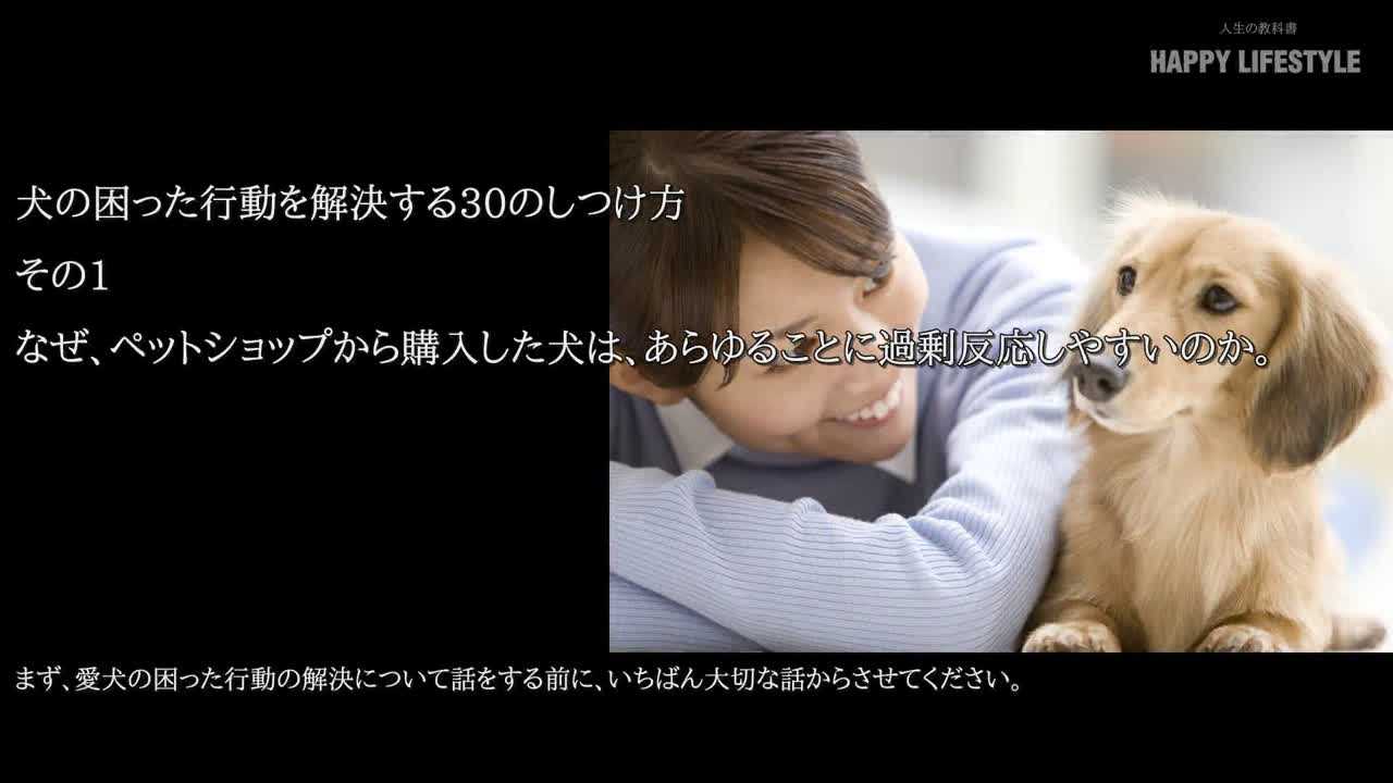 犬の困った行動を解決する30のしつけ方 Happy Lifestyle