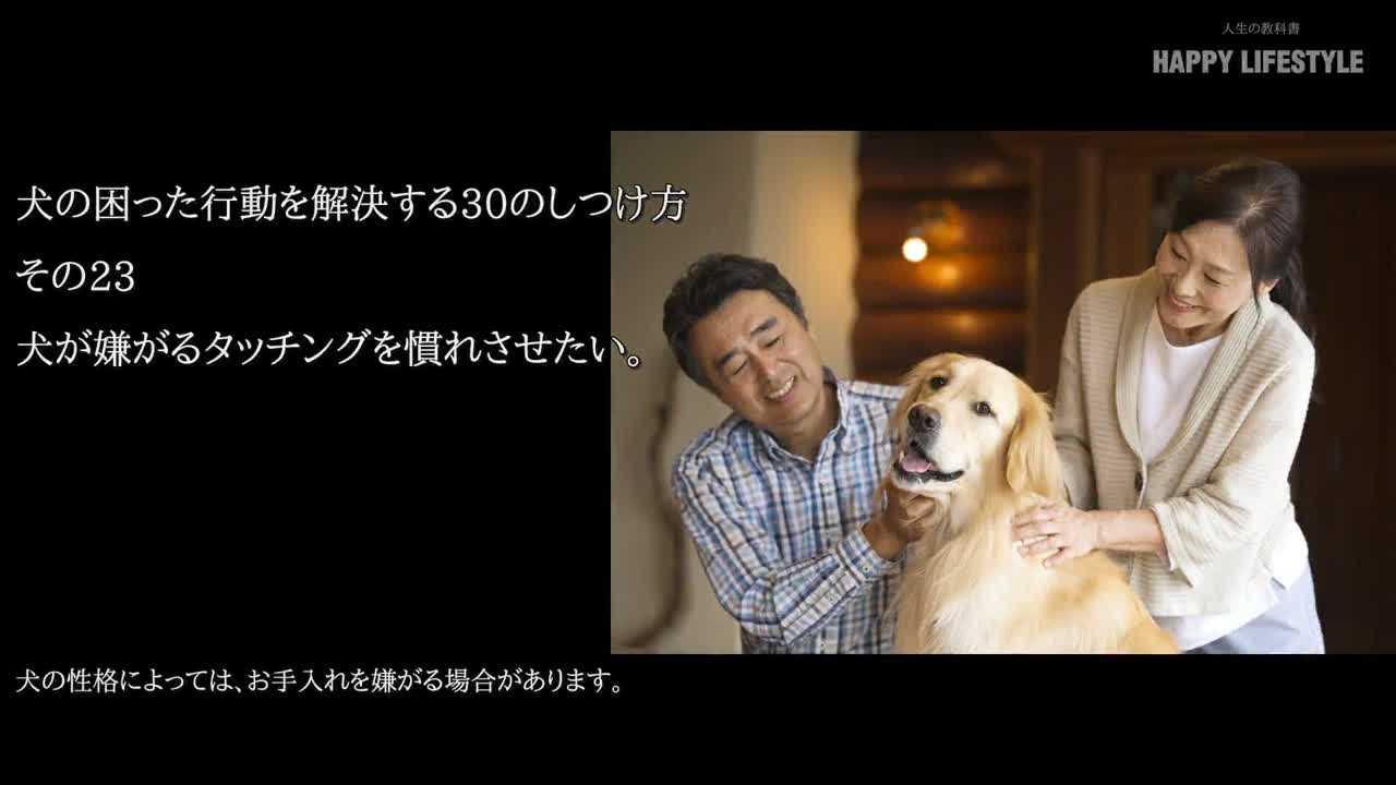 犬が嫌がるタッチングを慣れさせたい 犬の困った行動を解決する30のしつけ方 Happy Lifestyle